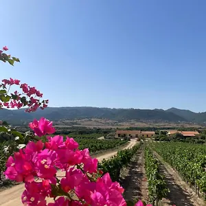  Bauernhof Campesi Casale Tra Le Vigne