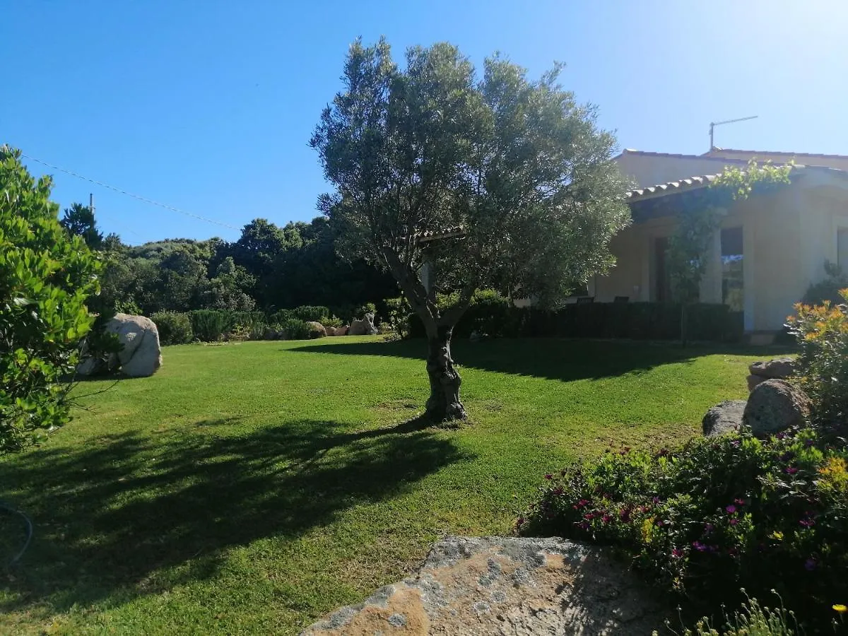 Agriturismo Fioredda Aglientu 0*,